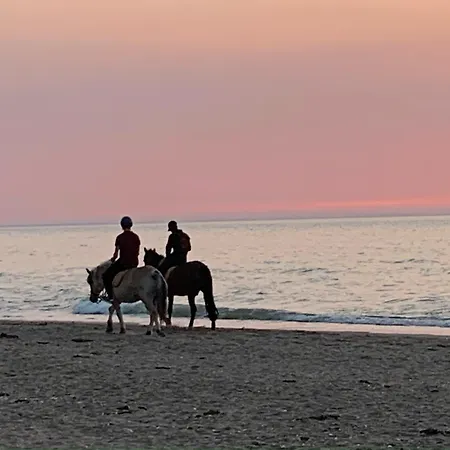 Le Fitzgerald -tres Joli 3 Pieces Art Deco Hypercentre