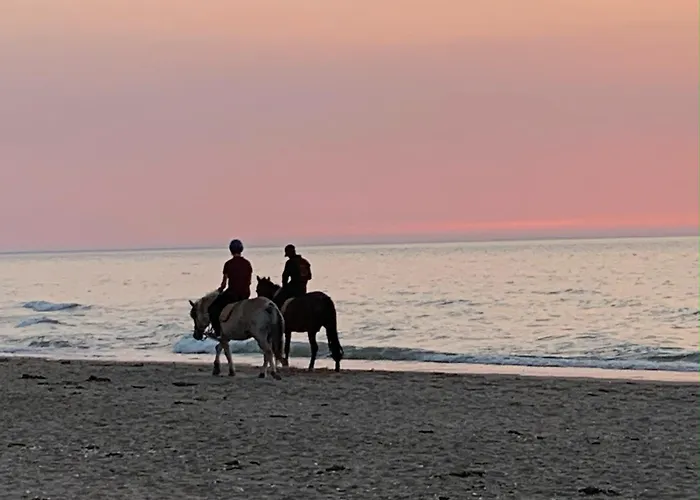 Le Fitzgerald -tres Joli 3 Pieces Art Deco Hypercentre