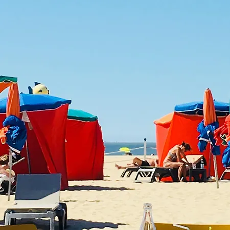 Le Fitzgerald -tres Joli 3 Pieces Art Deco Hypercentre *