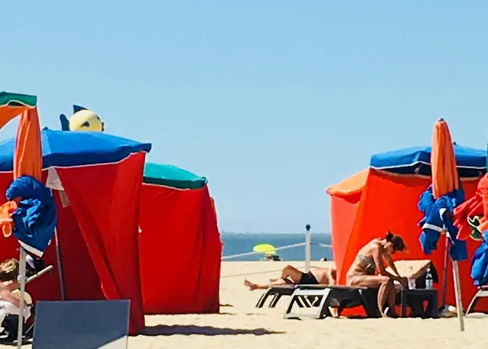 Le Fitzgerald -tres Joli 3 Pieces Art Deco Hypercentre *